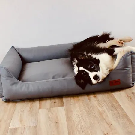 Zentral, Ruhig & Stilvoll Mit Bergpanorama+ Garten Lejlighed Garmisch-Partenkirchen