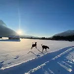 Lejlighed Zentral, Ruhig & Stilvoll Mit Bergpanorama+ Garten *