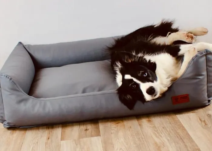 Zentral, Ruhig & Stilvoll Mit Bergpanorama+ Garten Διαμέρισμα Γκάρμις-Παρτενκίρχεν